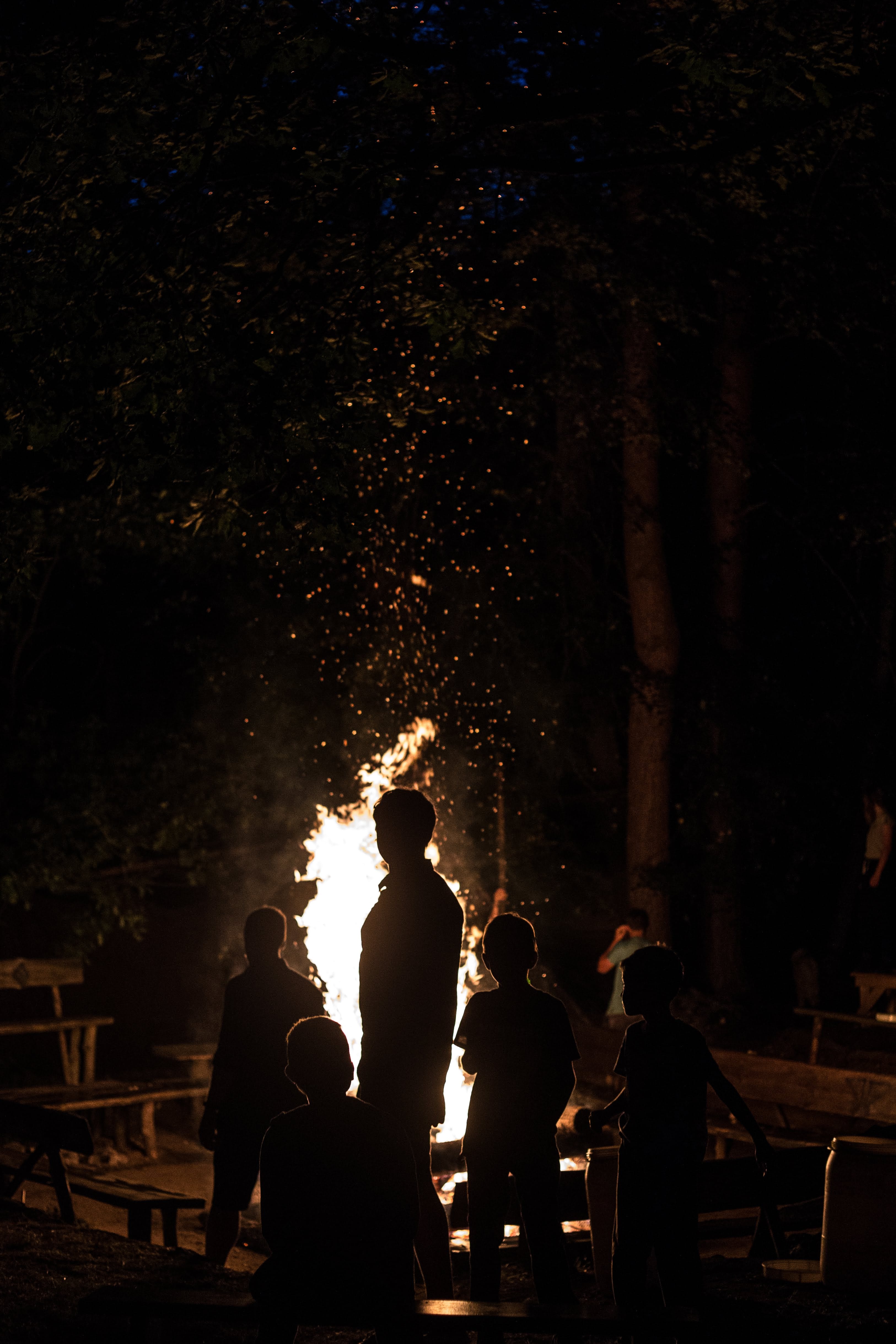 campfire with silhouettes